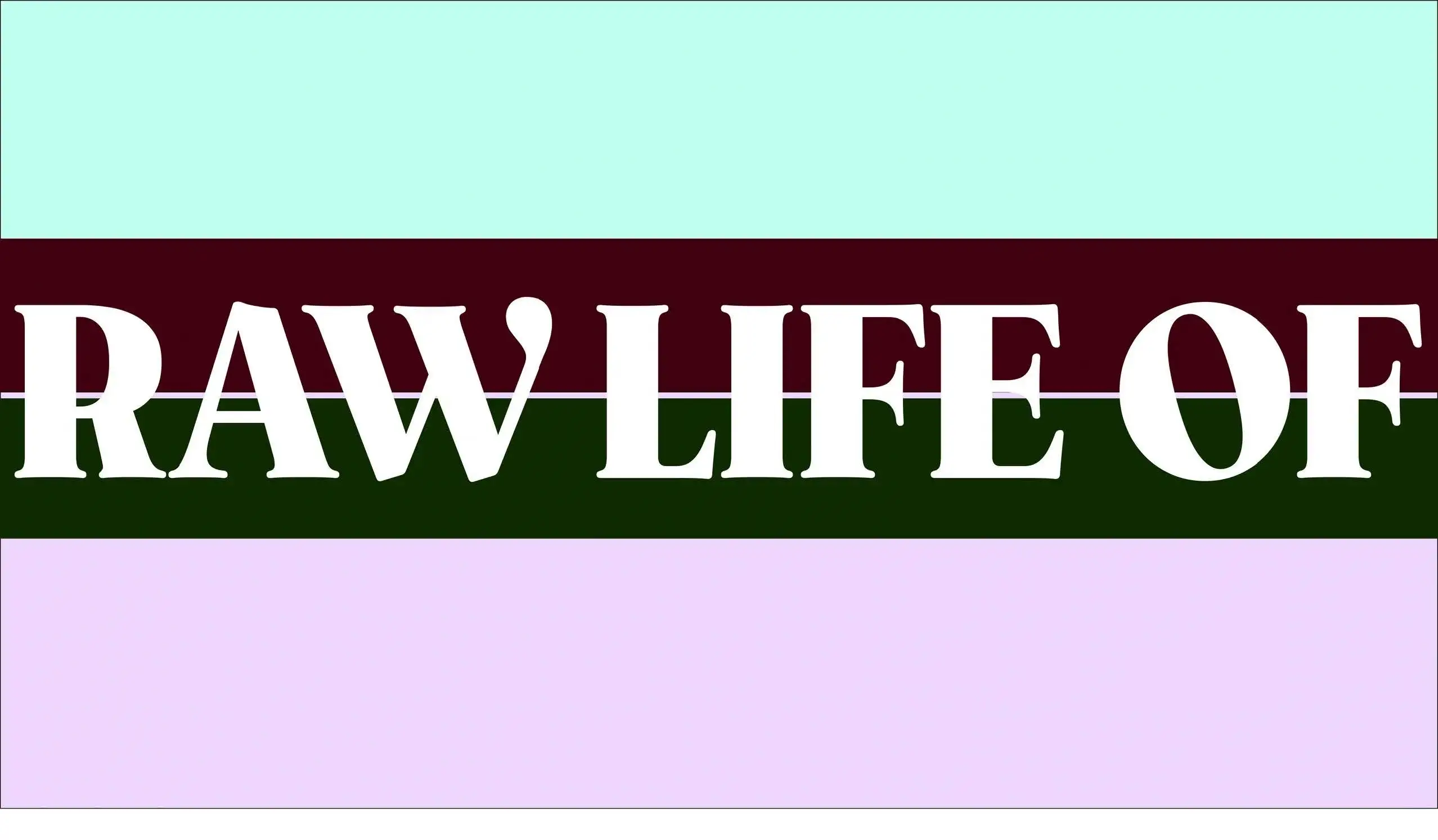 Cover image for RAW Beginnings: A Journey Through Life Honestly